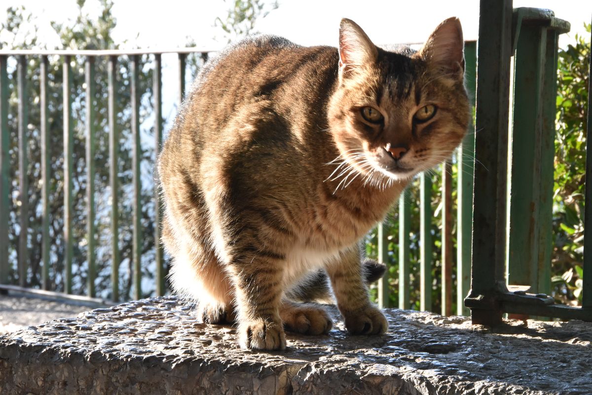 20191130_153626nf.jpg