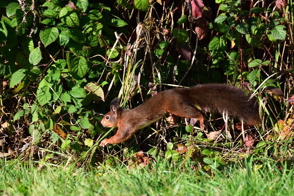 2019_23548.jpg