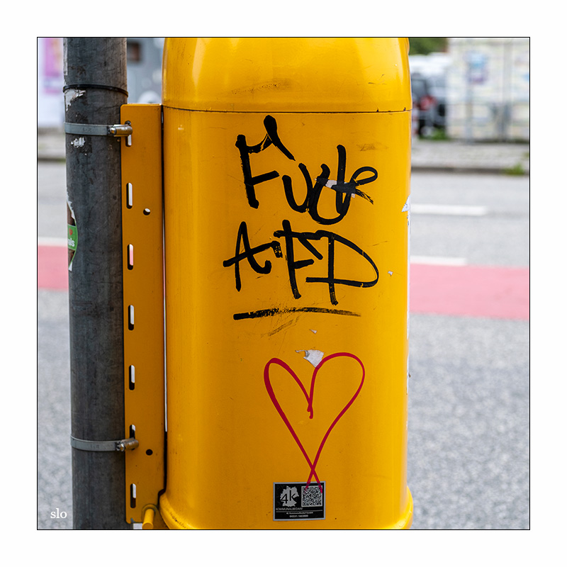 202/365 Dahabflex – Fck AfD © 2025 Sabine Lommatzsch