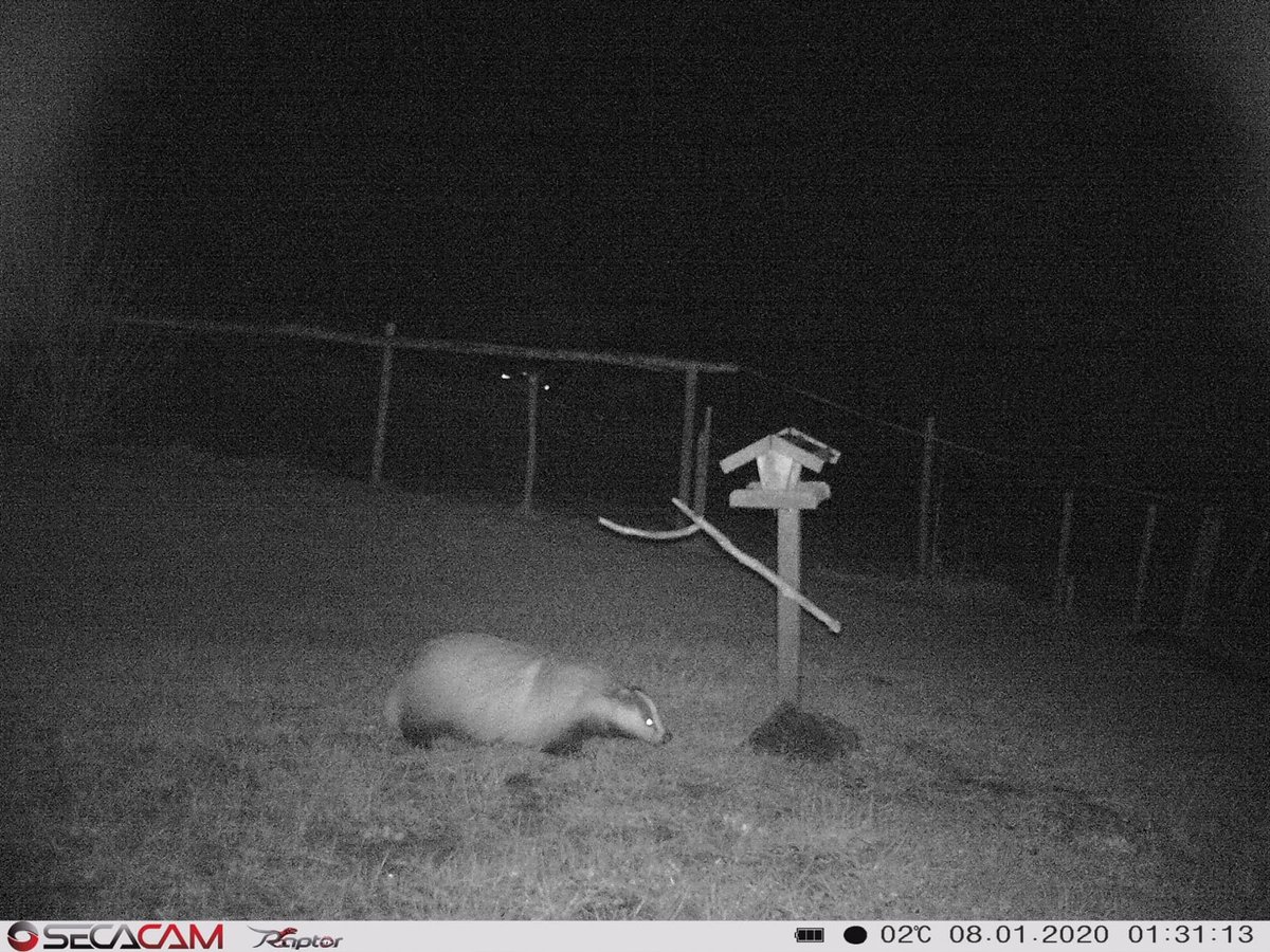 2020-01-08_Secacam2.JPG