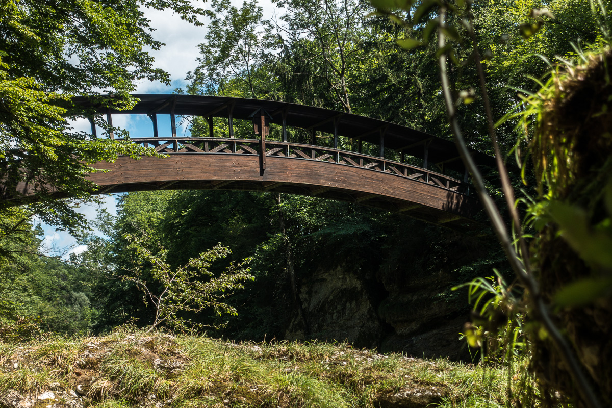 2020-07-12_Purgstall_Erlaufschlucht_ Türkensturzrunde_0006.jpg