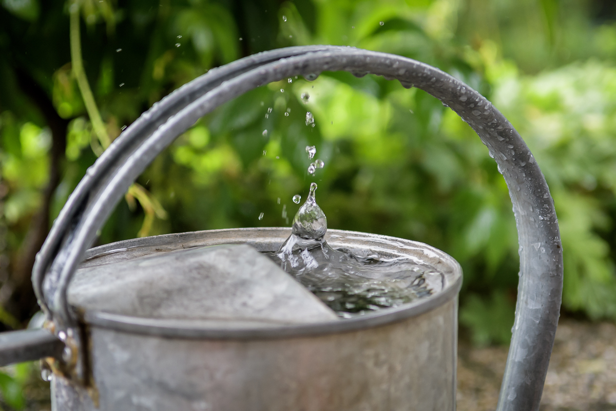 2020-07-18_Garten_Regen_0001.jpg
