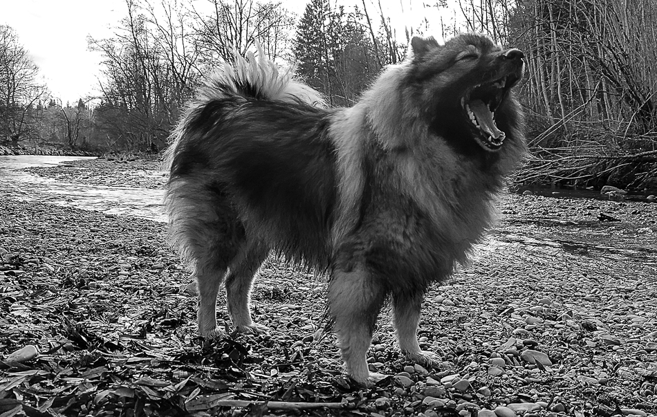20200111-Prinzessin.jpg