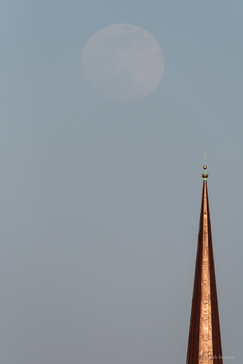20200406-001.jpg