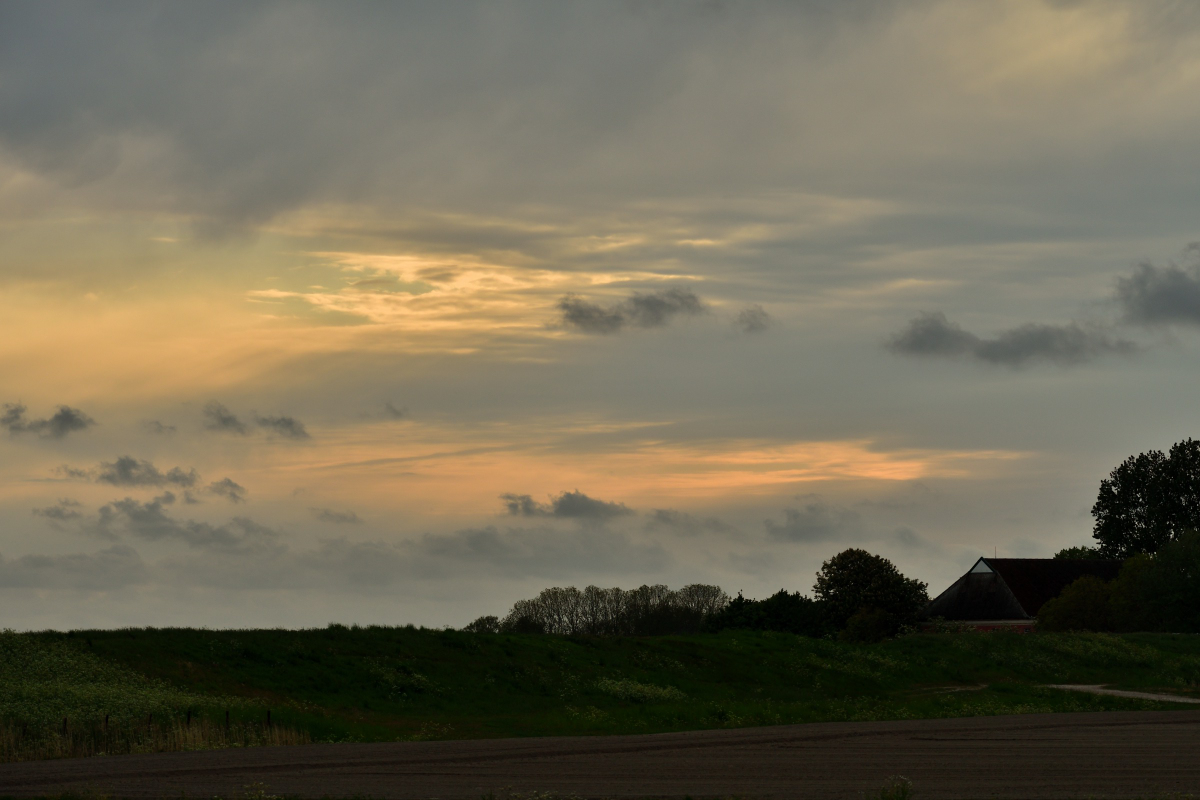 20200516_195637nf.jpg