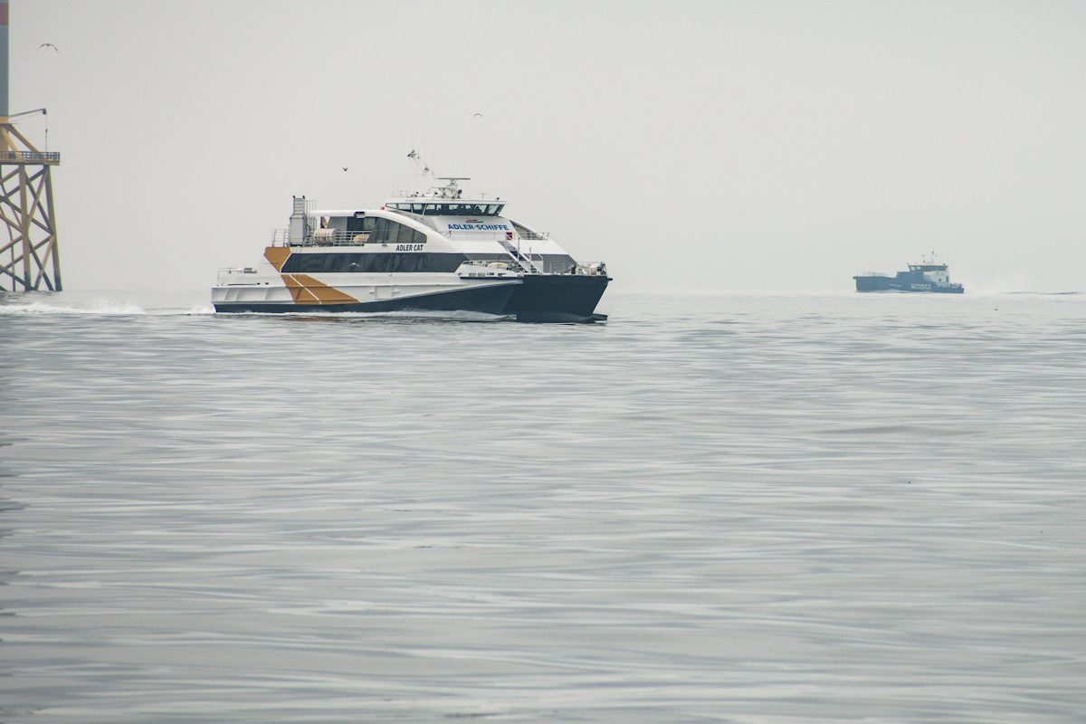 20200616_091941_nf.jpg