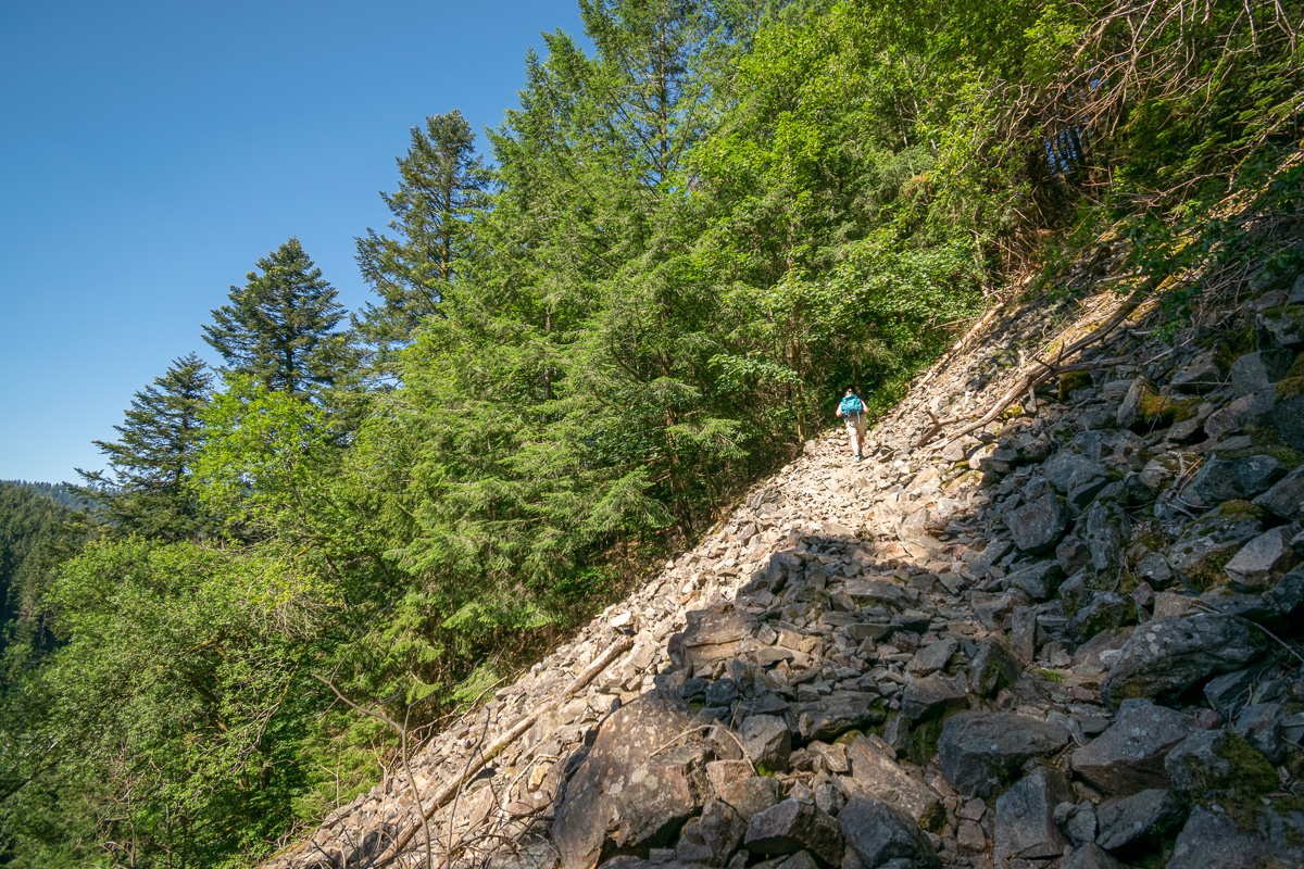 20200624-DSC_9023.jpg