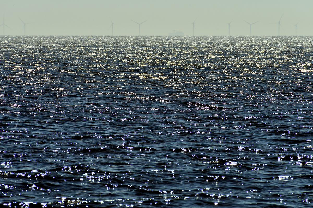20200624_112347_nf.jpg