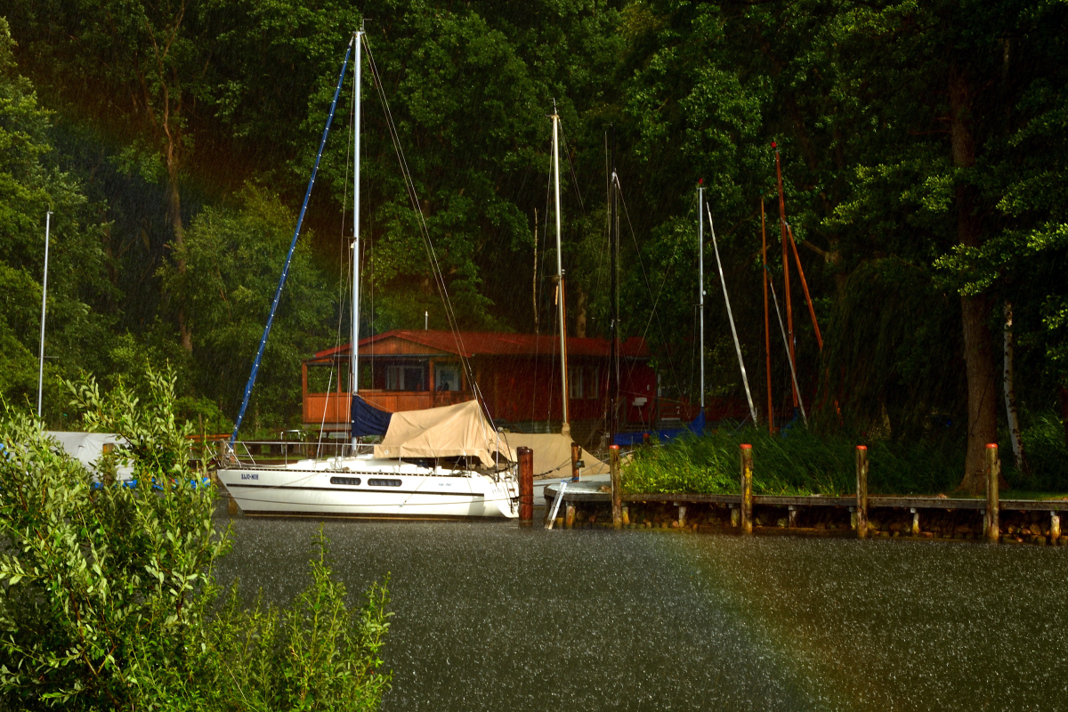 20200706_175242_nf.jpg