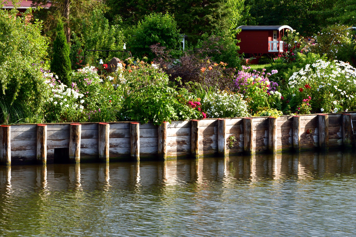 20200706_180956_nf.jpg