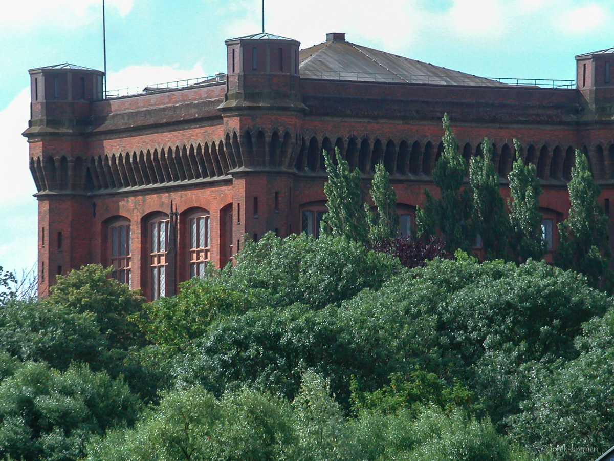 20200707-042.jpg