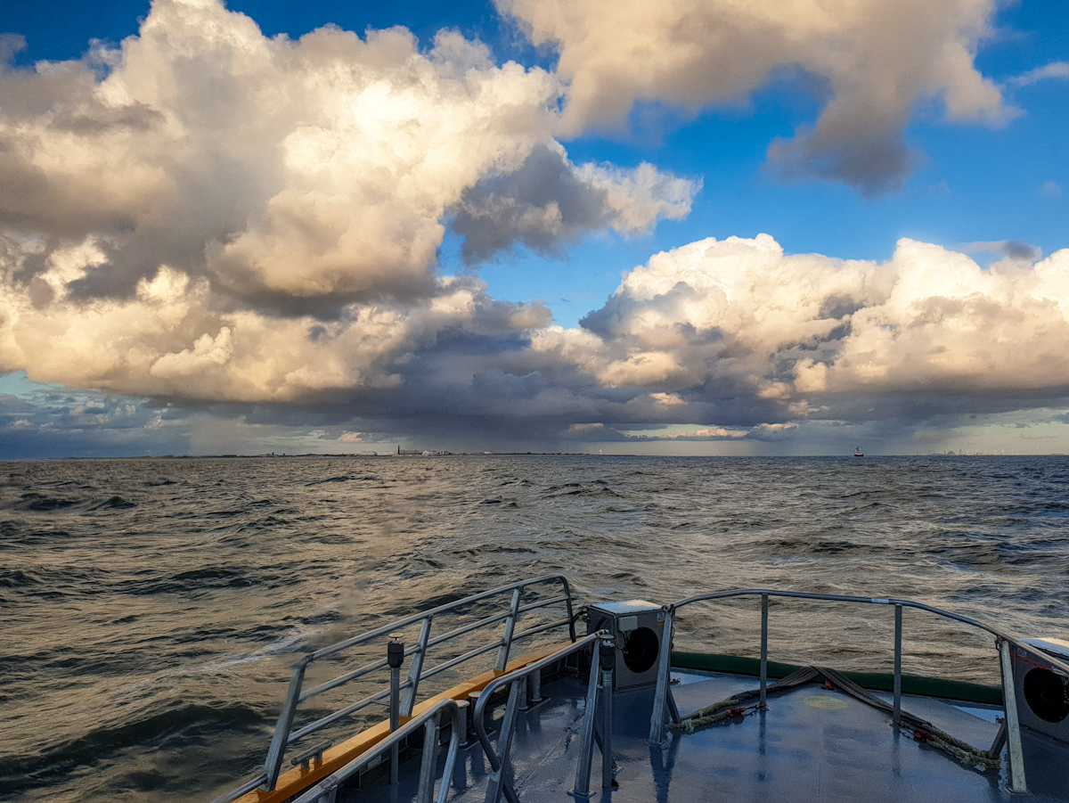 20200710_211454_nf.jpg