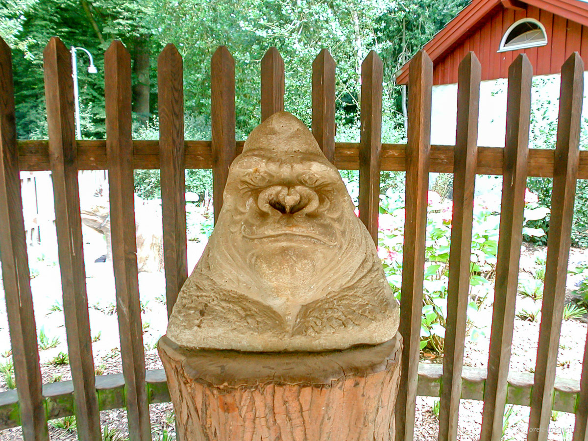 20200713-059.jpg
