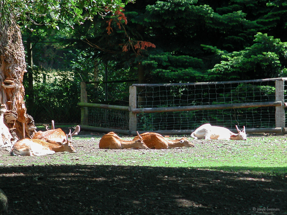 20200713-060.jpg