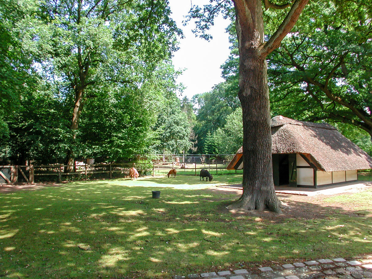 20200713-061.jpg