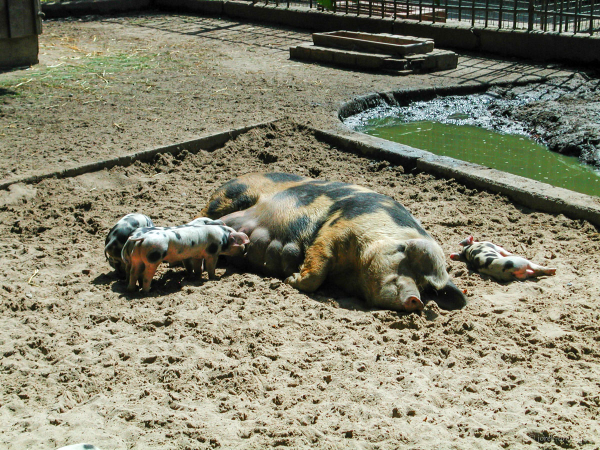 20200713-070.jpg