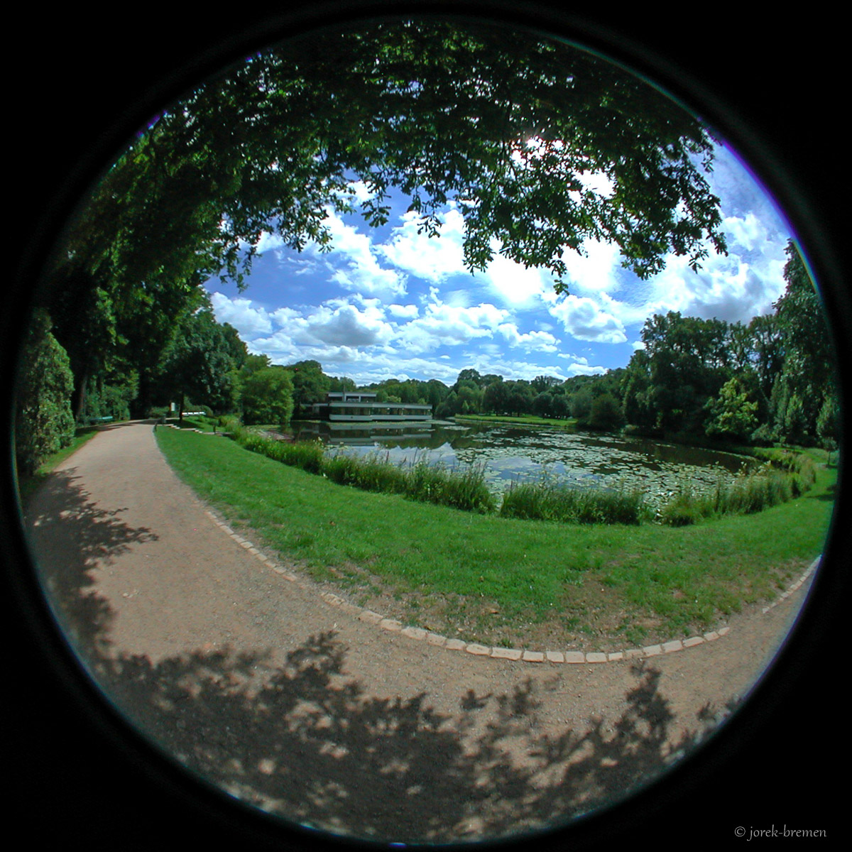 20200713-079.jpg