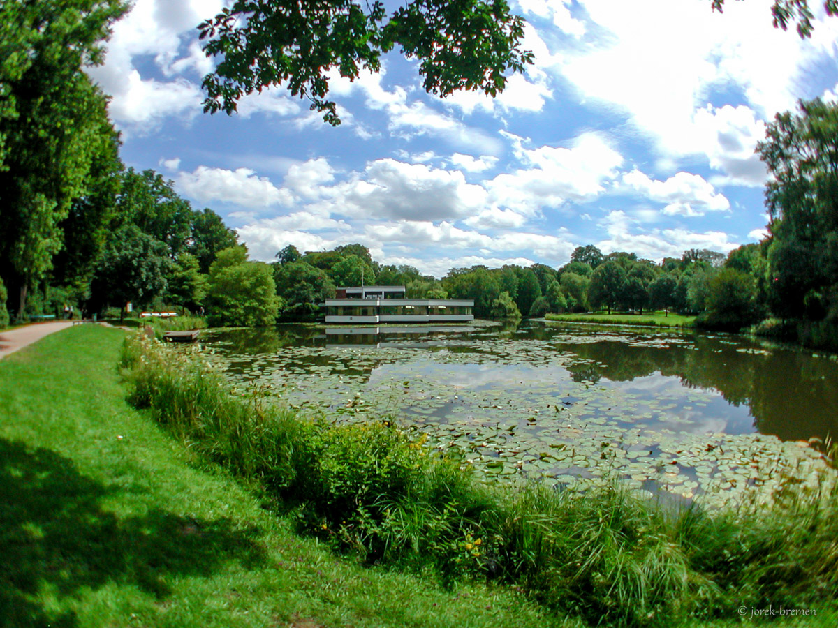 20200713-080.jpg