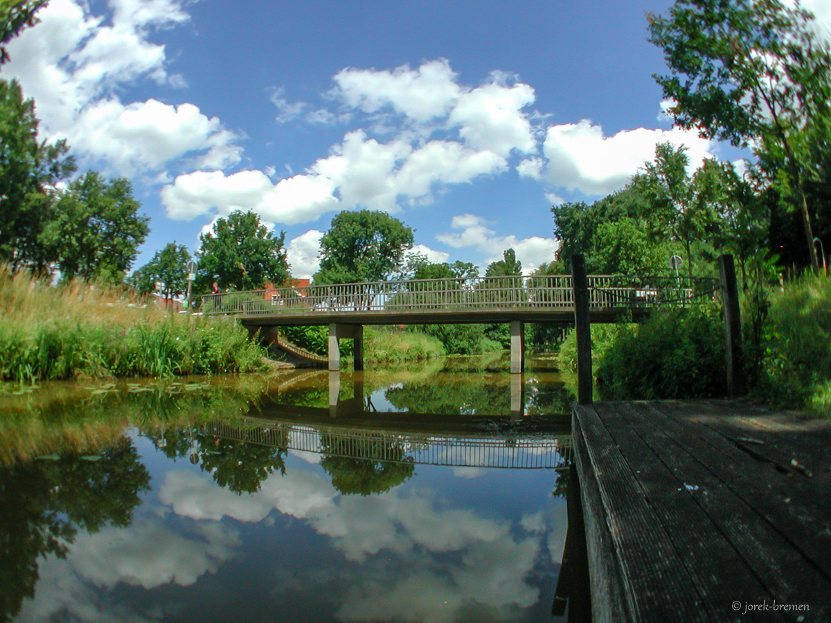 20200713-082.jpg