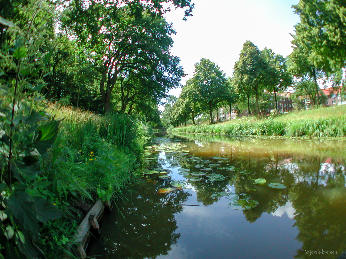20200713-083.jpg
