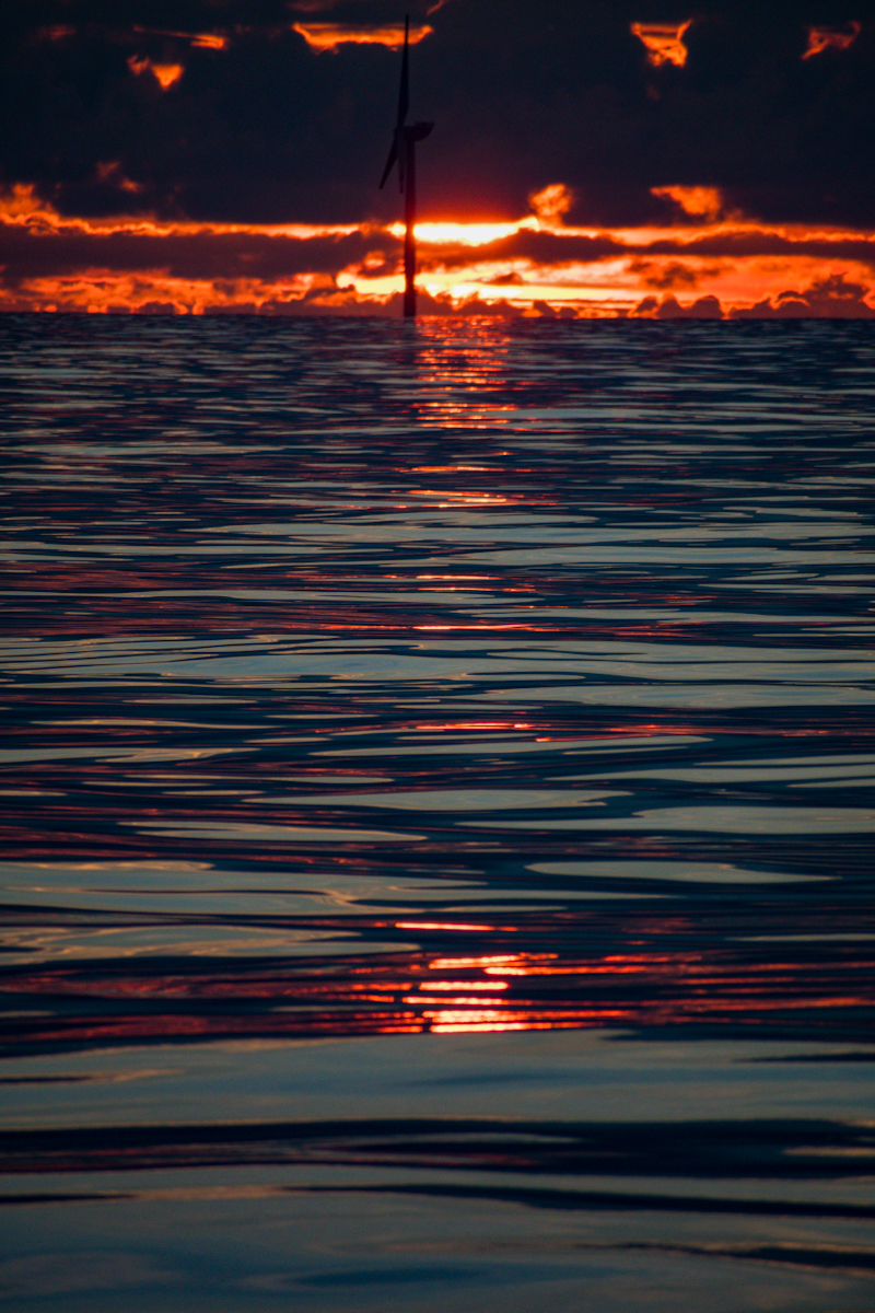 20200716_215201_nf.jpg