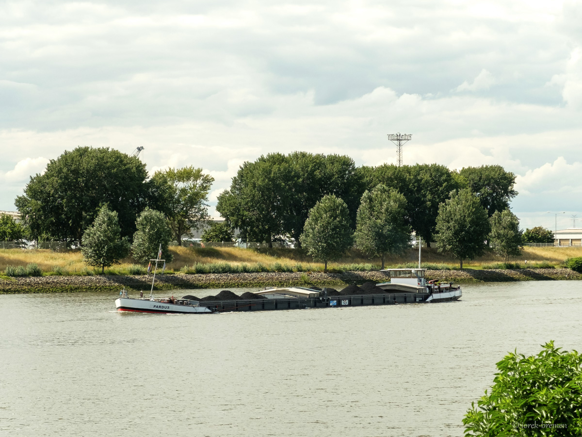 20200722-004.jpg