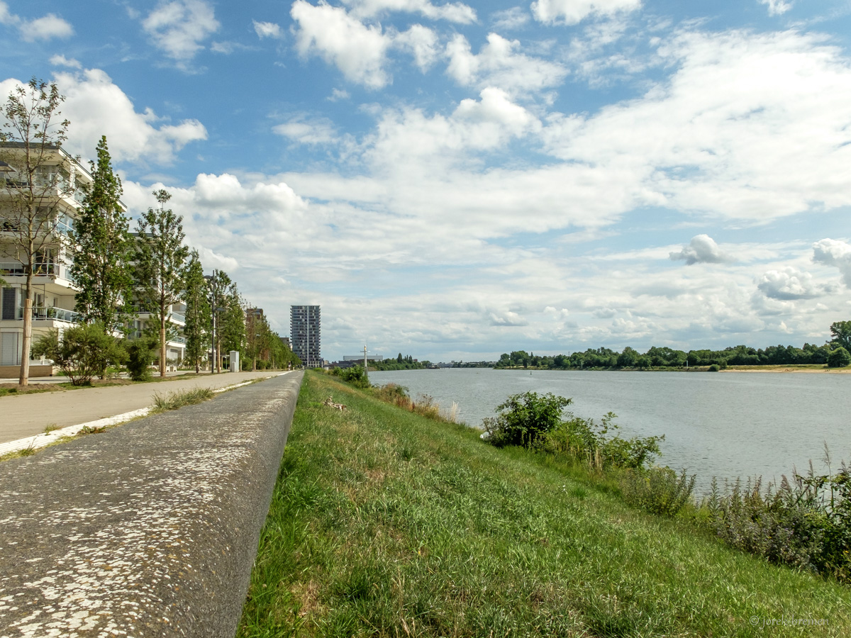 20200722-005.jpg