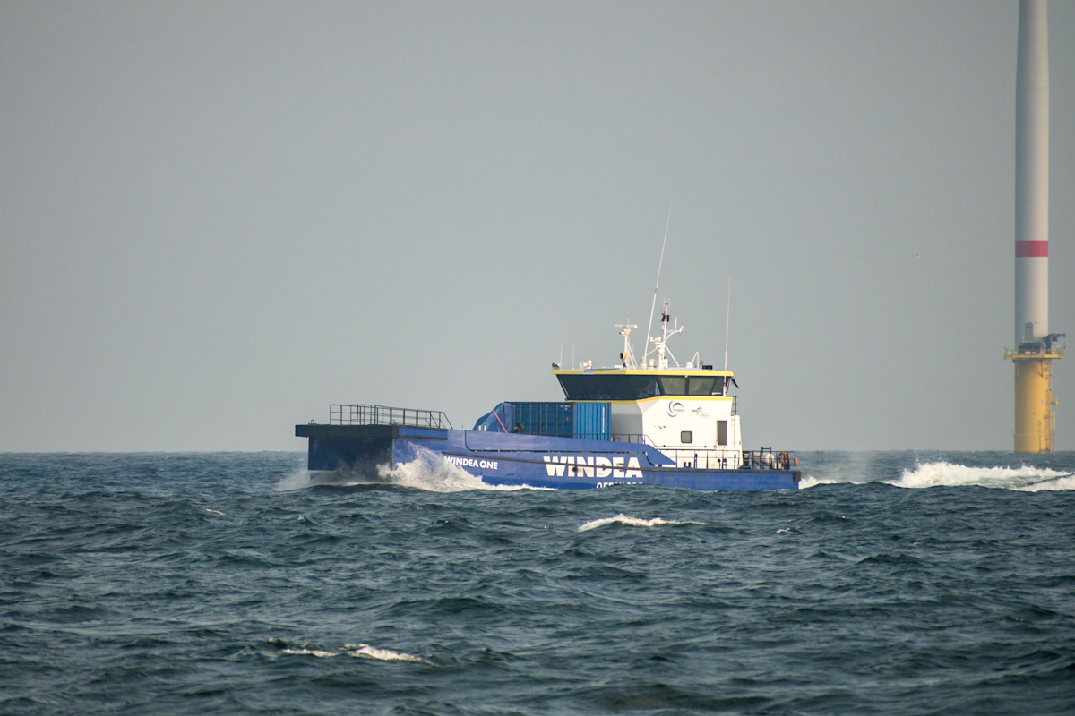 20200815_084708_nf.jpg