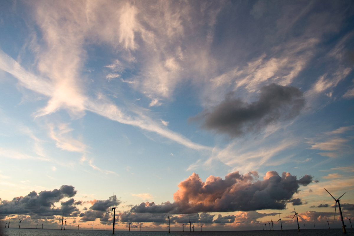 20200818_204838_nf.jpg