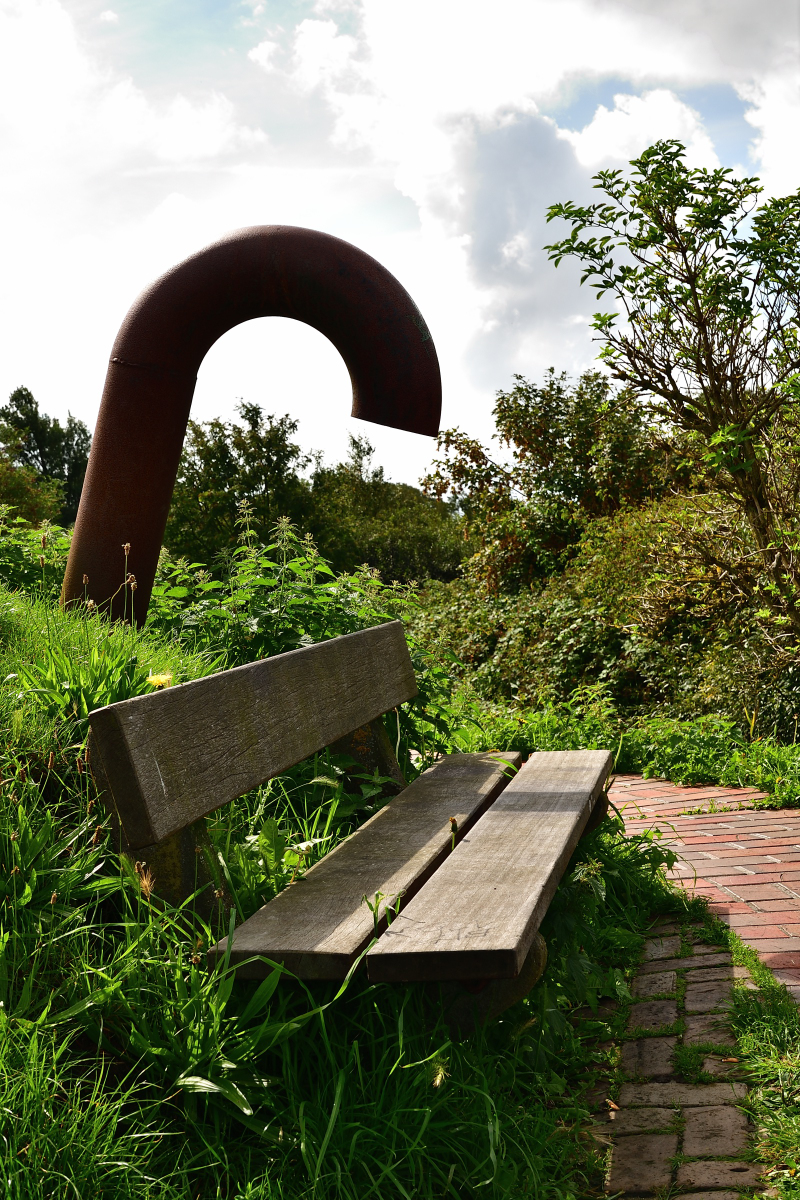 20200904_131649_nf.jpg