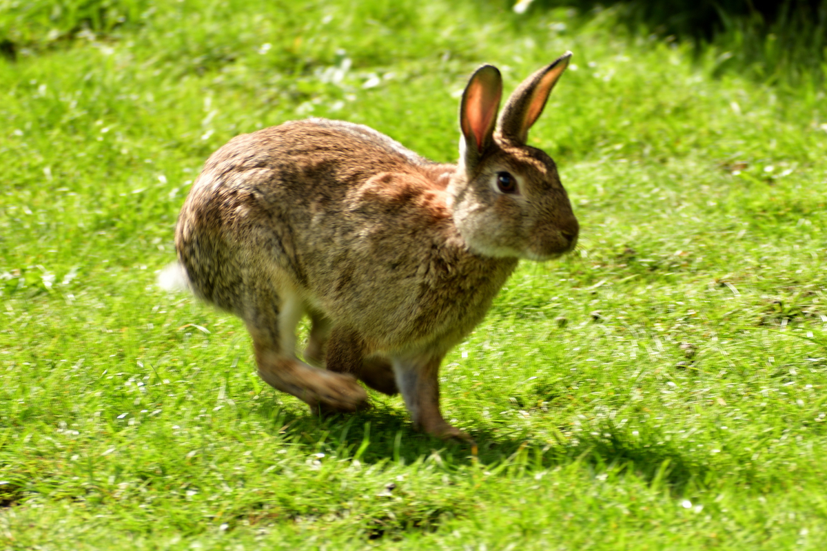 20200904_140500_nf.jpg
