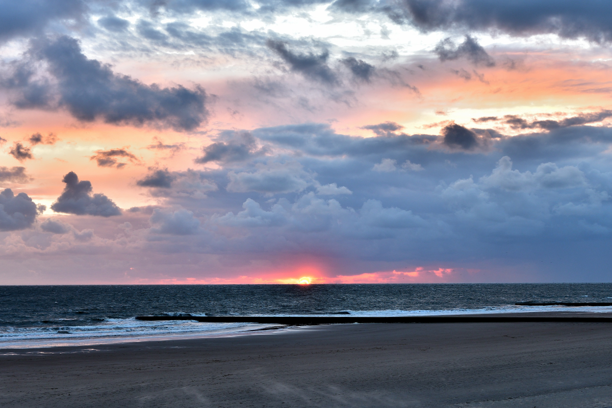 20200905_201146_nf.jpg