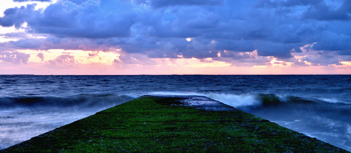 20200905_204318_nf.jpg