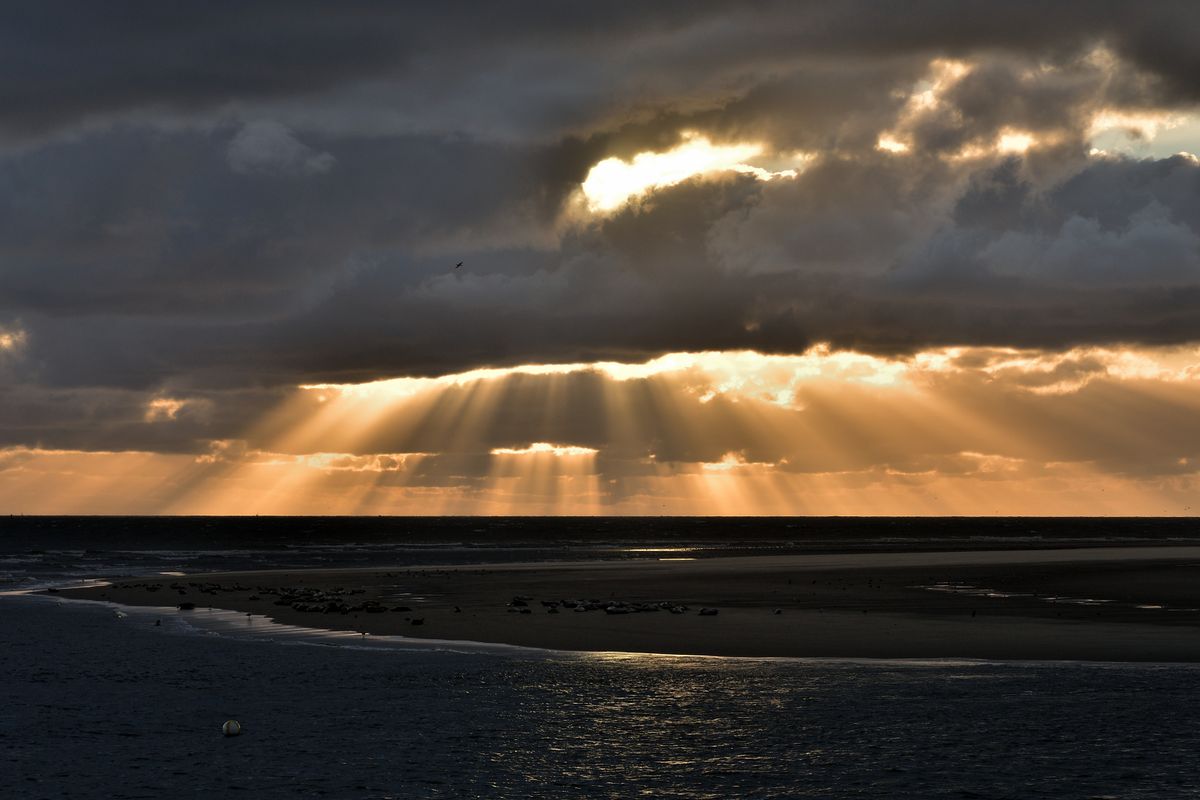 20200909_193159_nf.jpg