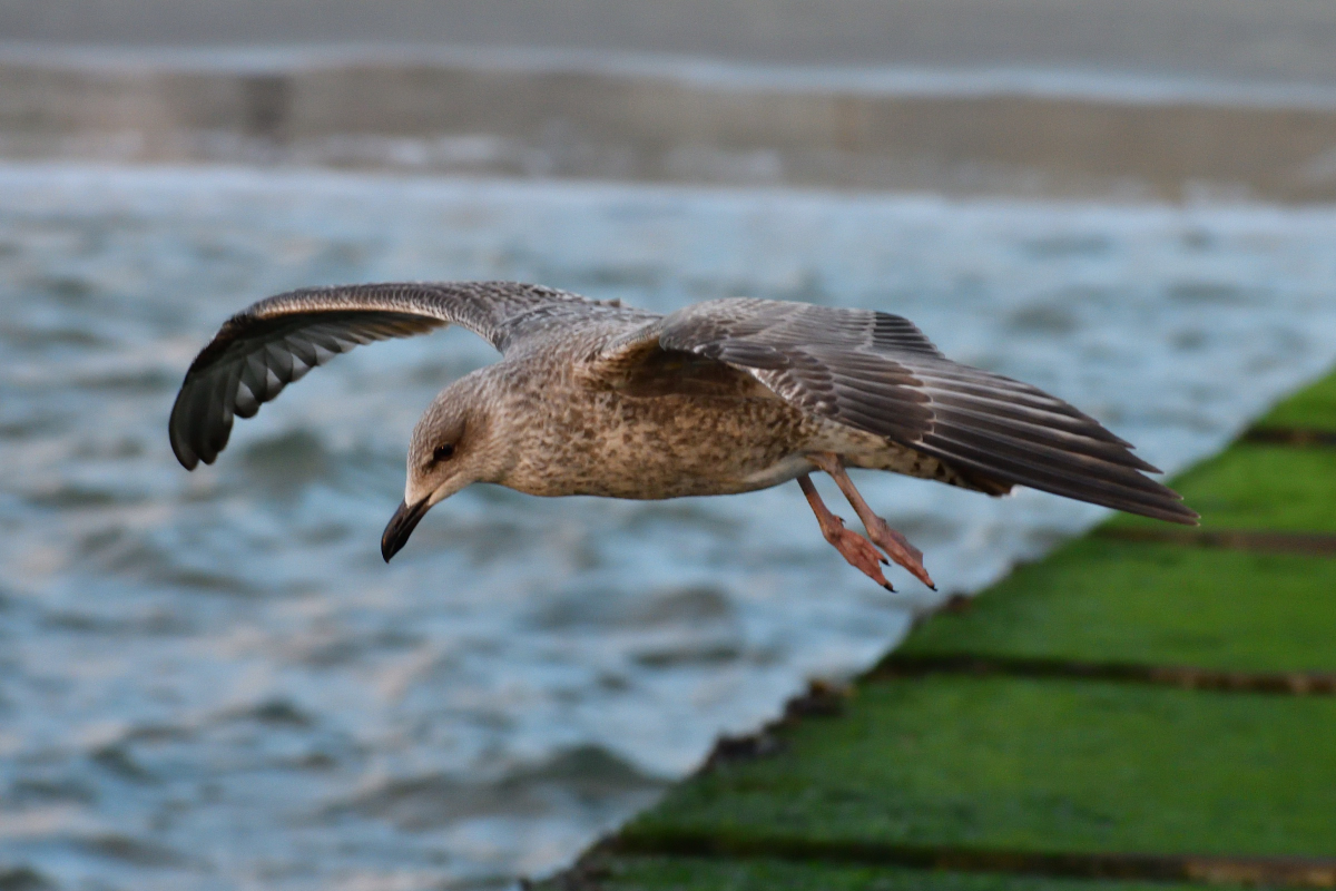 20200909_194321_nf.jpg