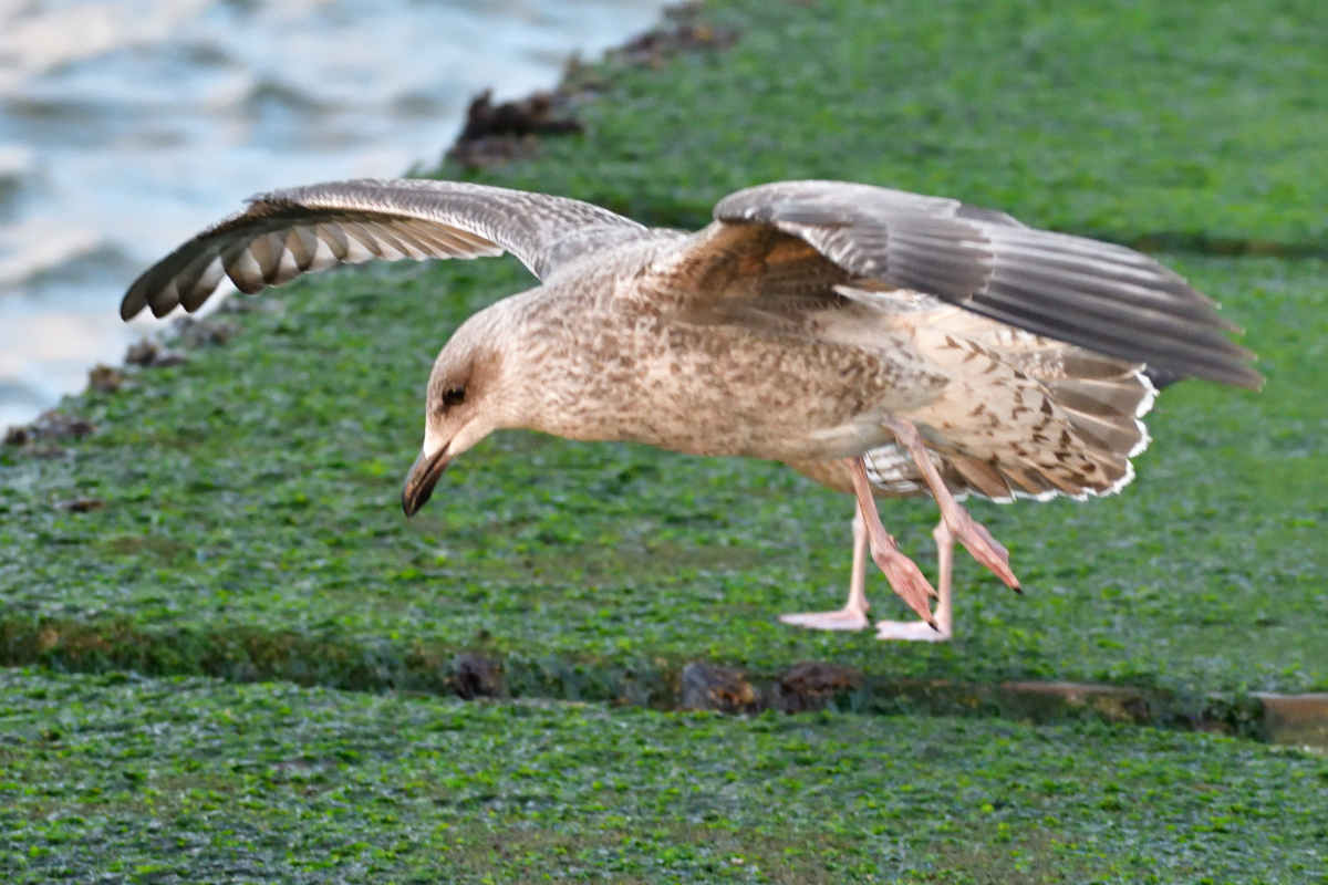 20200909_194322_nf.jpg
