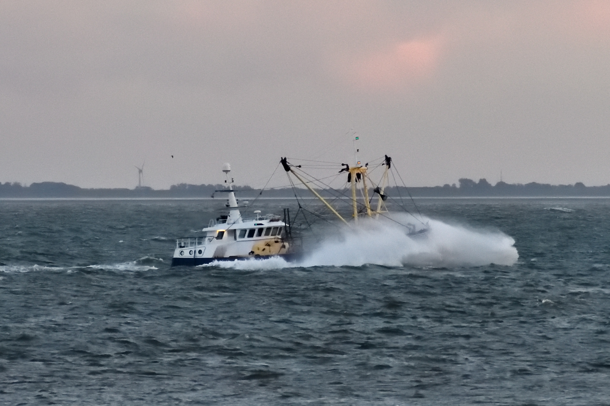 20200909_195456_nf.jpg