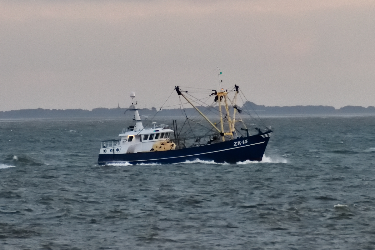 20200909_195521_nf.jpg