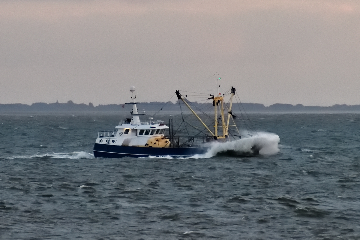 20200909_195522_nf.jpg