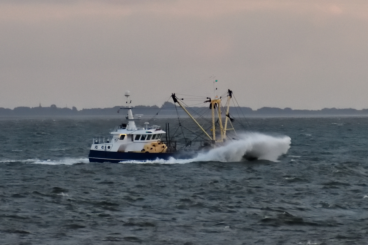 20200909_195523_nf.jpg