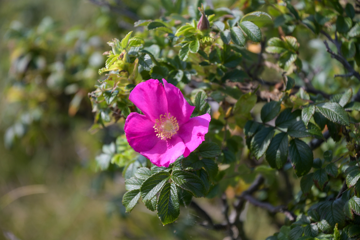 20200910_151528_nf.jpg