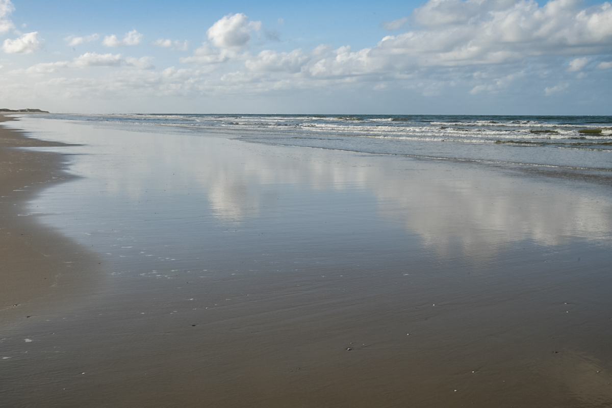 20200910_170408_nf.jpg