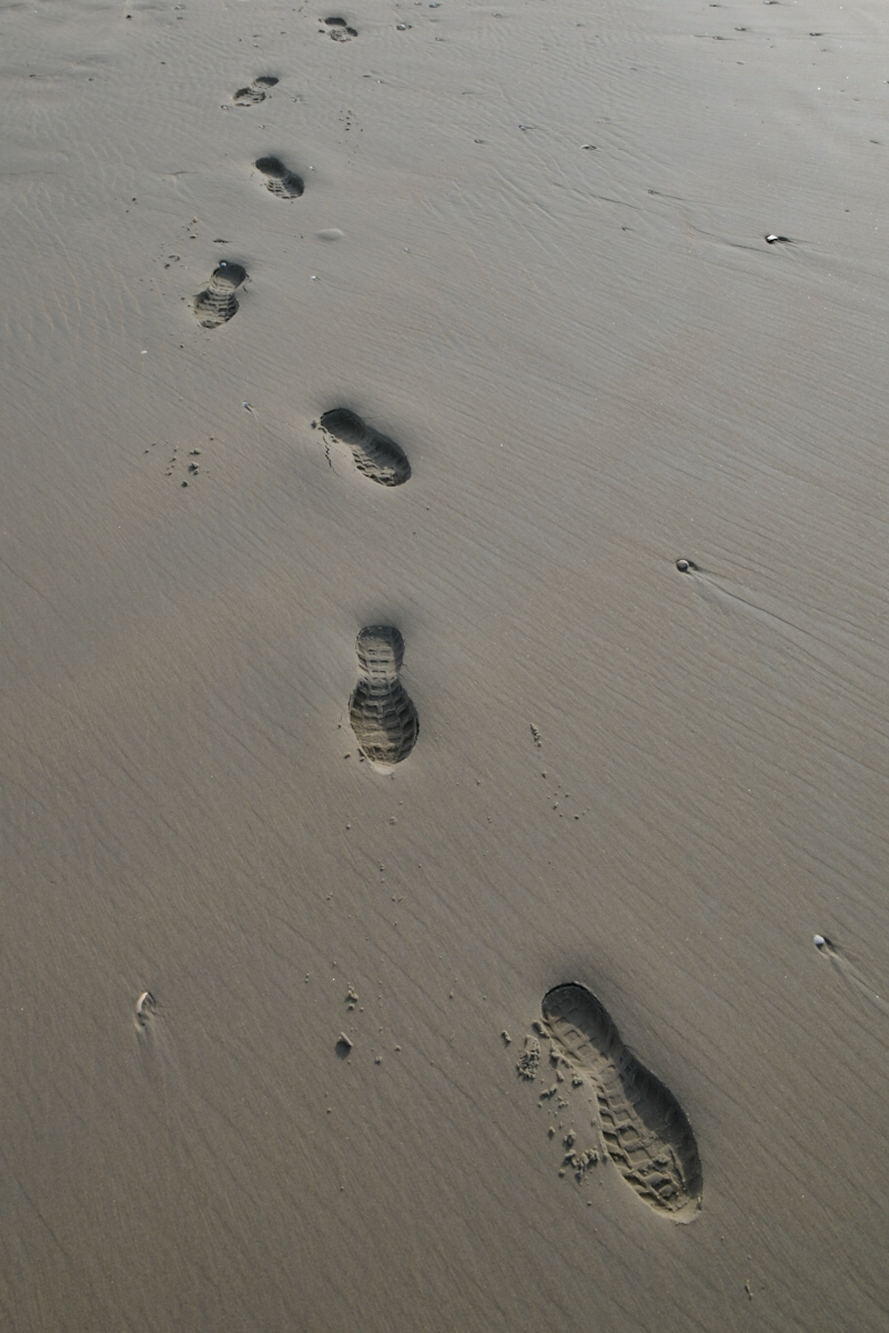 20200910_170448_nf.jpg