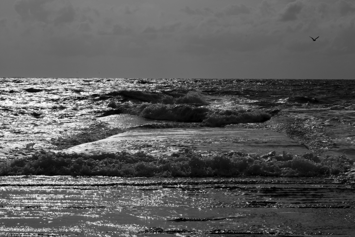 20200912_171524_nf.jpg