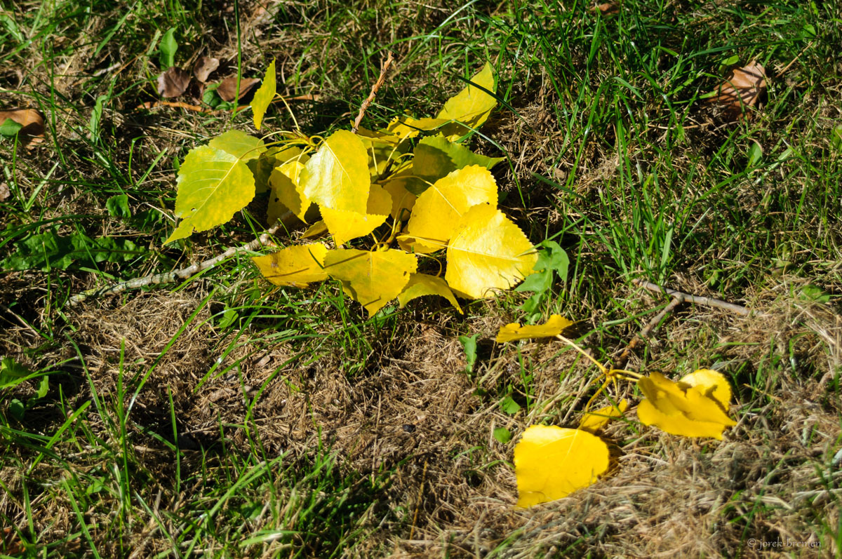 20200922-001.jpg