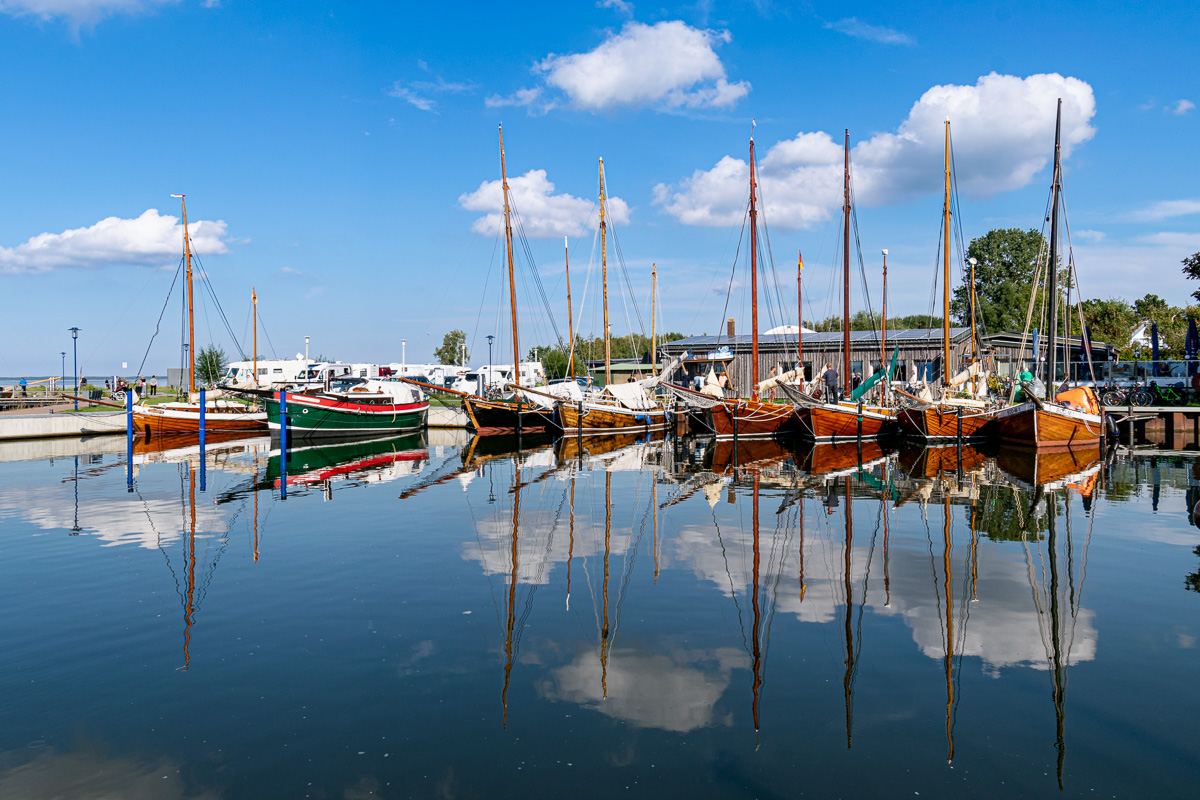 20200929-DSC_0887.jpg