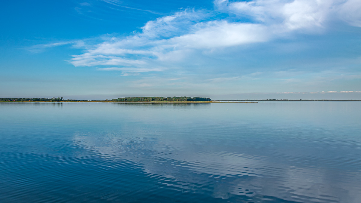 20200929-DSC_0903.jpg
