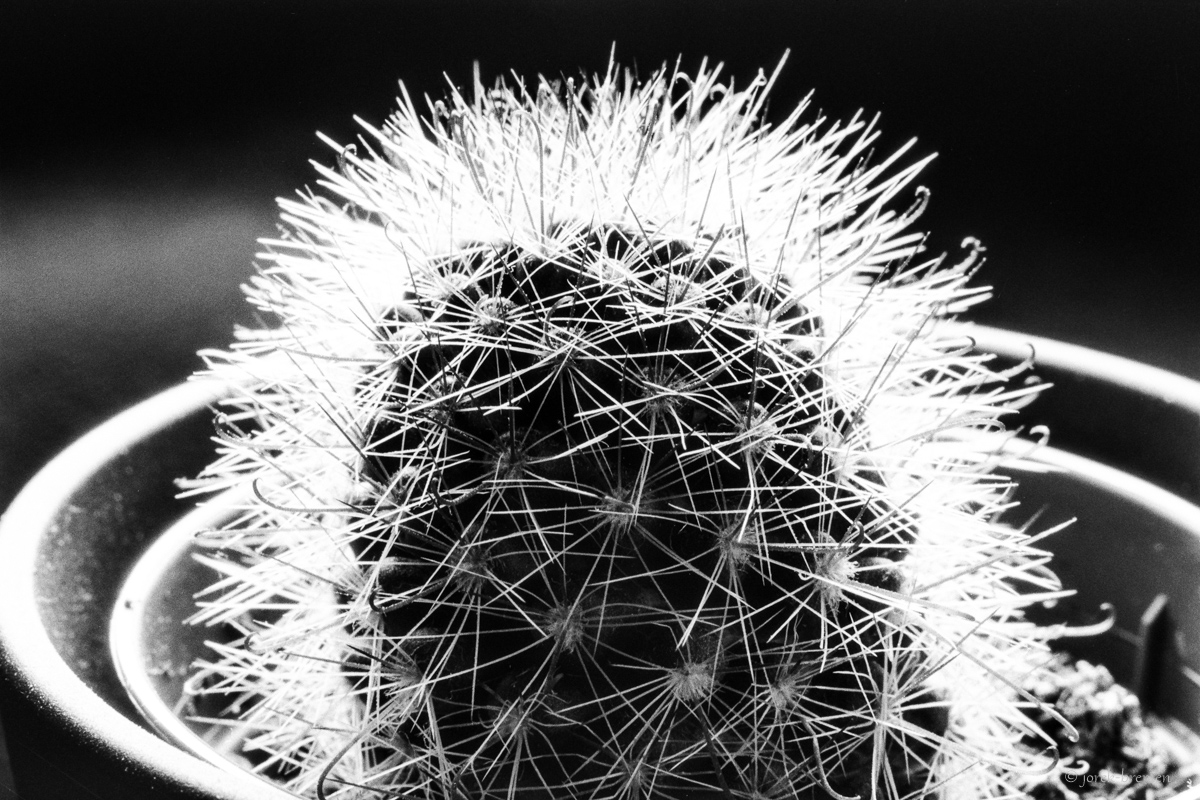 20201019-011.jpg