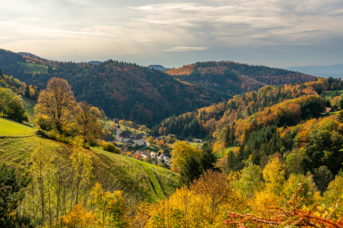 20201025-DSC_0107.jpg