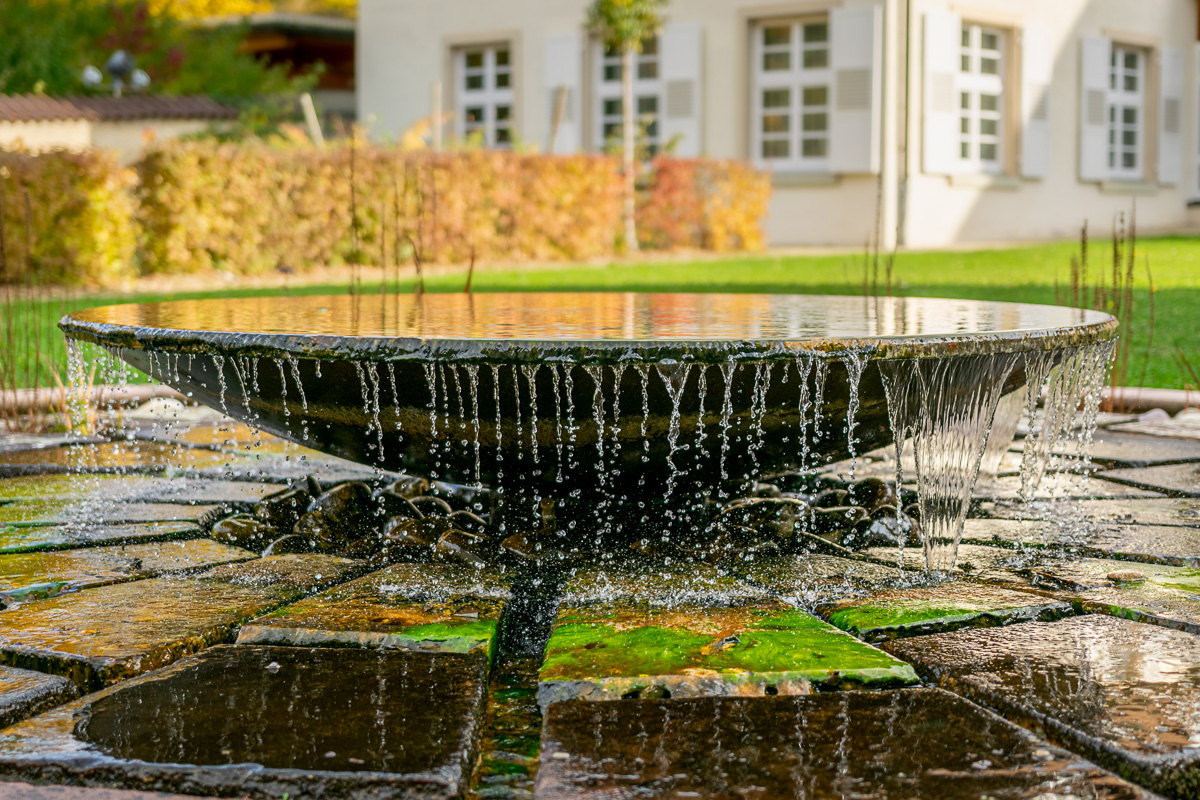 20201025-DSC_0134.jpg